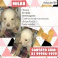 Milka