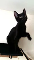Mia