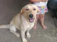 Kira