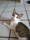Órus