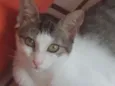 Órus