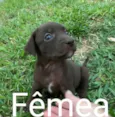 Não sei