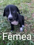 Não sei