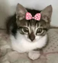 Mila 