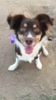 Rubi