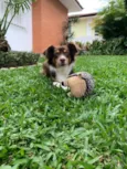 Rubi
