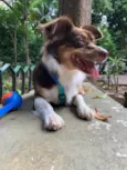 Rubi