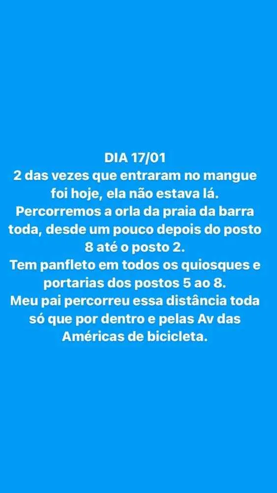 Cachorro ra a Vira lata idade 4 anos nome Rubi