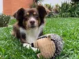 Rubi