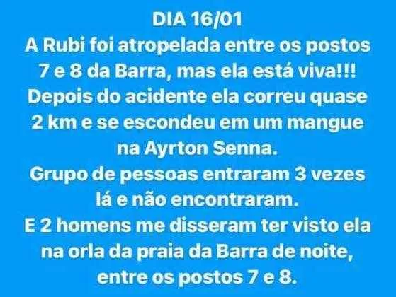 Cachorro ra a Vira lata idade 4 anos nome Rubi