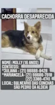 Molly