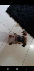 TUCA