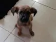 TUCA