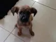 TUCA