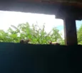 Abandonados