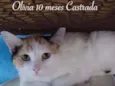 OLIVIA