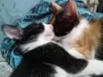 Yulli e Yulla