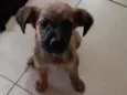 TUCA