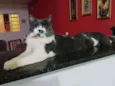 Cacau(Maria Cláudia)