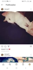 Sofie/ Tom
