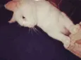 Sofie/ Tom