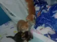 Du, Dudu, Edu e nega