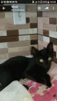 Não tem nome 