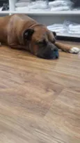Bruce