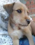 Bartolomeu