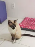 PERLA