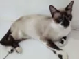 PERLA