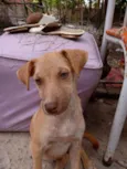 Kiara e bela