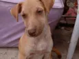 Kiara e bela