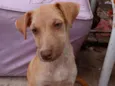 Kiara e bela