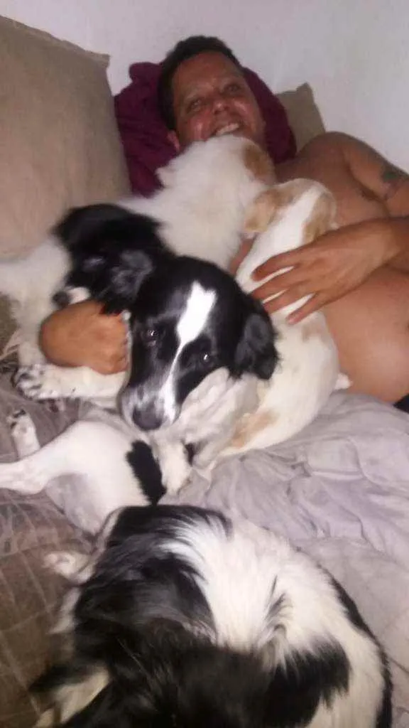 Cachorro ra a Budecole com viralata idade 1 ano nome Thor e consuello
