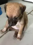 Indefinido 