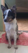 Mel