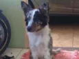 Mel
