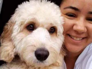 Cachorro raça  idade  nome Torresmo