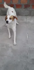 Pimba