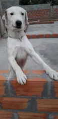 Nei