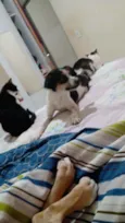 Lua e Alecrim