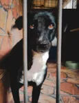 Bolt