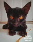 Esmeralda