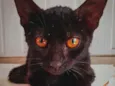 Esmeralda