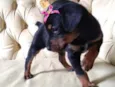 Sophia 