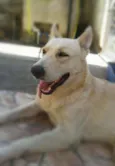 Marley