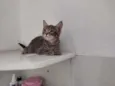 Sam
