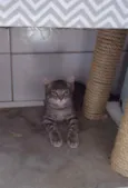 Sam