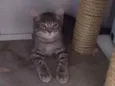 Sam